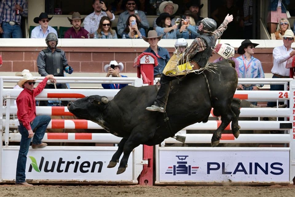 Rodeos
