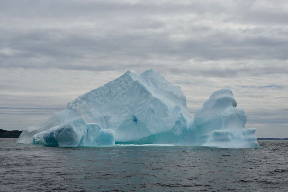 Icebergs and Puffins