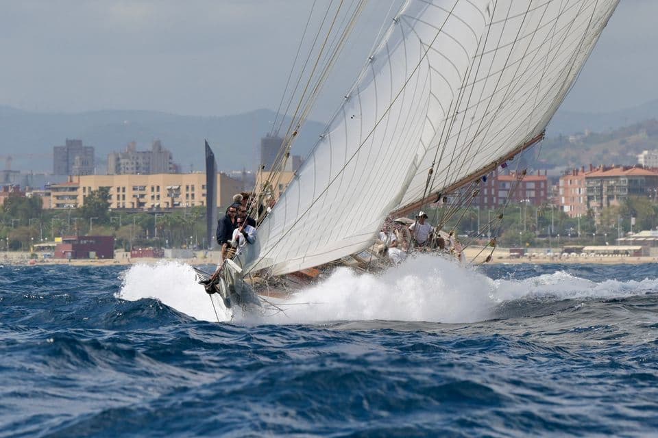 Puig Vela Classica