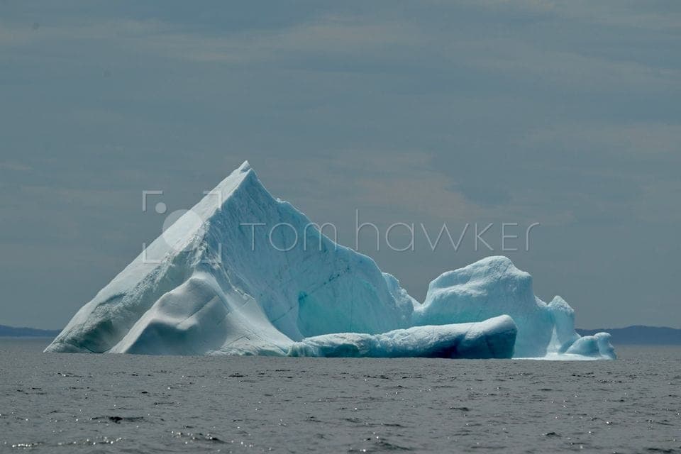 Watermarktest9